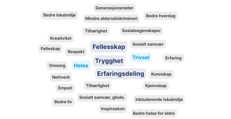 En ordsky der ordene fellesskap, trygghet og erfaringsdeling er størst.